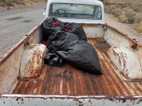 1972 Chevrolet C10 for sale in Michigan (ID-146177)