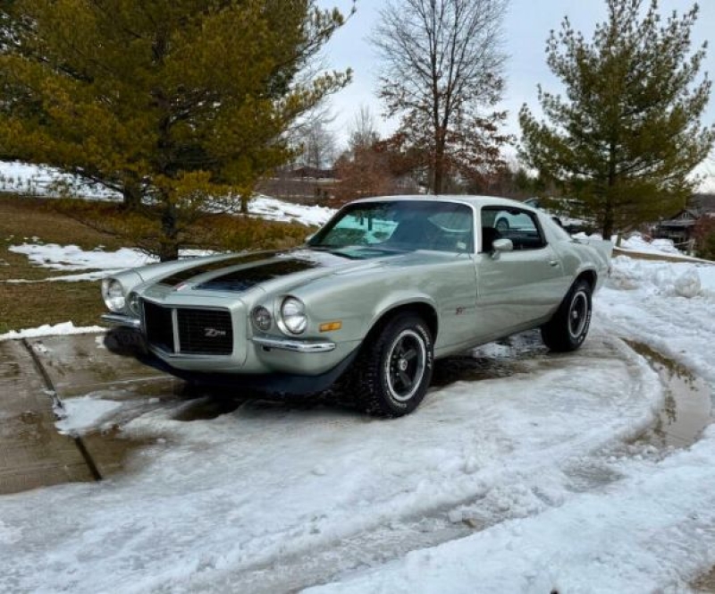 1972 Chevrolet Camaro for sale in Michigan (ID-138492) 1972 Chevrolet Camaro for sale in Michigan (ID-138492)