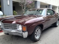 1972 Chevrolet Chevelle for sale in Michigan (ID-102718)