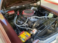 1972 Chevrolet Chevelle for sale in Michigan (ID-102718)