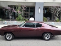 1972 Chevrolet Chevelle for sale in Michigan (ID-102718)
