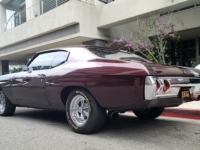 1972 Chevrolet Chevelle for sale in Michigan (ID-102718)