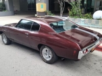 1972 Chevrolet Chevelle for sale in Michigan (ID-102718)