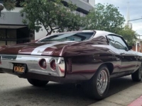 1972 Chevrolet Chevelle for sale in Michigan (ID-102718)