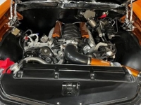 1972 Chevrolet Chevelle for sale in Michigan (ID-113968)
