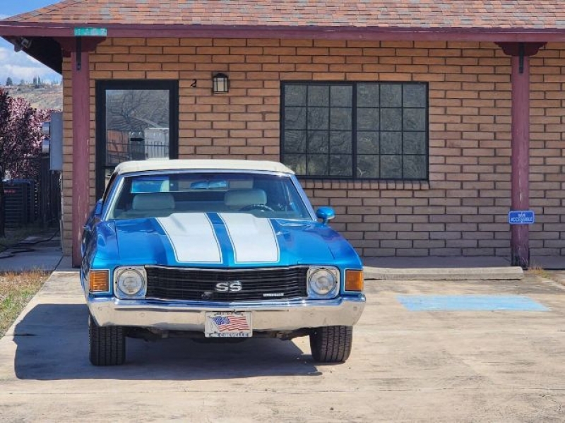1972 Chevrolet Chevelle for sale in Michigan (ID-114487)