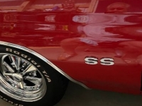 1972 Chevrolet Chevelle for sale in Michigan (ID-120008)