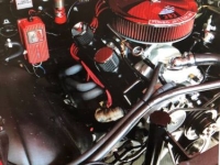1972 Chevrolet Chevelle for sale in Michigan (ID-120008)