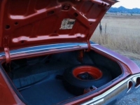 1972 Chevrolet Chevelle for sale in Michigan (ID-123910)