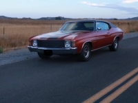 1972 Chevrolet Chevelle for sale in Michigan (ID-123910)