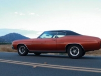 1972 Chevrolet Chevelle for sale in Michigan (ID-123910)