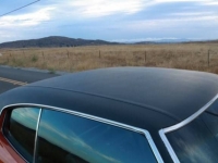 1972 Chevrolet Chevelle for sale in Michigan (ID-123910)