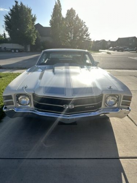 1972 Chevrolet Chevelle for sale in Michigan (ID-125772)