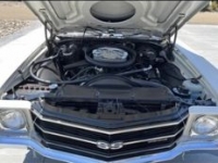 1972 Chevrolet Chevelle for sale in Michigan (ID-125772)