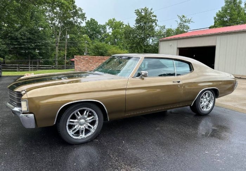 1972 Chevrolet Chevelle for sale in Michigan (ID-130461)