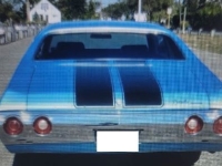 1972 Chevrolet Chevelle for sale in Michigan (ID-133973)