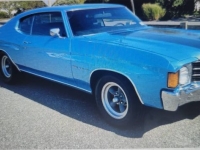 1972 Chevrolet Chevelle for sale in Michigan (ID-133973)