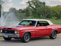 1972 Chevrolet Chevelle for sale (ID-134077)