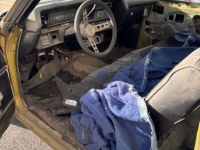 1972 Chevrolet Chevelle for sale in Michigan (ID-136829)