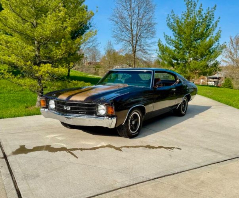 1972 Chevrolet Chevelle for sale in Michigan (ID-140747) 1972 Chevrolet Chevelle for sale in Michigan (ID-140747)