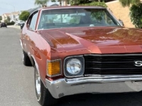 1972 Chevrolet Chevelle for sale in Michigan (ID-142225)