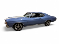 1972 Chevrolet Chevelle for sale in Addison, Illinois (ID-142313)
