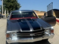 1972 Chevrolet Chevelle for sale in Michigan (ID-142450)