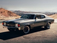 1972 Chevrolet Chevelle for sale in Michigan (ID-142450)