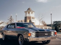 1972 Chevrolet Chevelle for sale in Michigan (ID-142450)