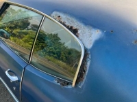 1972 Chevrolet Chevelle for sale in Michigan (ID-142657)