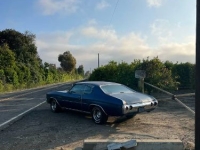 1972 Chevrolet Chevelle for sale in Michigan (ID-142657)