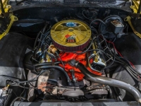 1972 Chevrolet Chevelle for sale (ID-143005)