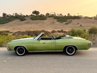 1972 Chevrolet Chevelle for sale in Michigan (ID-144064)