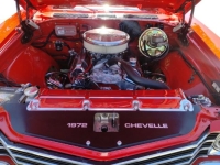 1972 Chevrolet Chevelle for sale in Michigan (ID-154941)
