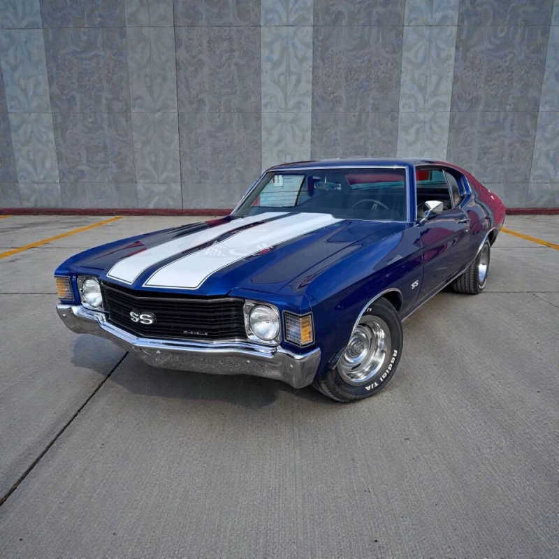 1972 Chevrolet Chevelle for sale in Addison, Illinois (ID-155031)