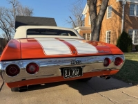 1972 Chevrolet Chevelle for sale in Michigan (ID-162205)