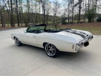 1972 Chevrolet Chevelle for sale in Michigan (ID-162384)