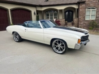 1972 Chevrolet Chevelle for sale in Michigan (ID-162384)