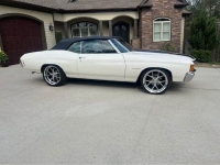 1972 Chevrolet Chevelle for sale in Michigan (ID-162384)