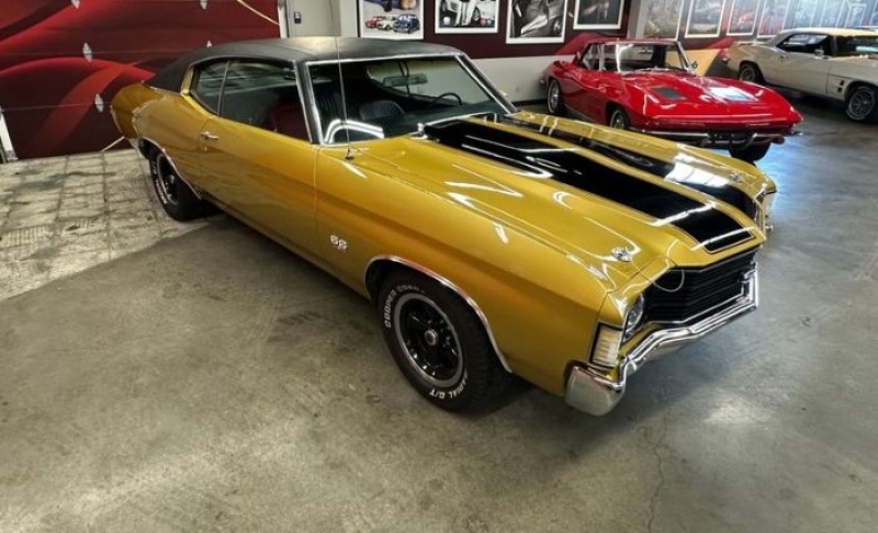 1972 Chevrolet Chevelle for sale in Michigan (ID-163291)