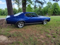 1972 Chevrolet Chevelle for sale in Michigan (ID-164405)