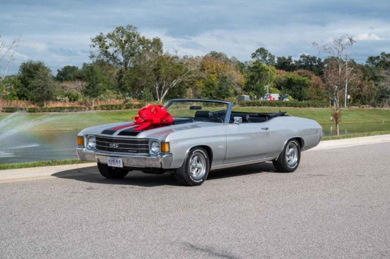 1972 Chevrolet Chevelle SS for sale in Riverhead, New York (ID-123638)