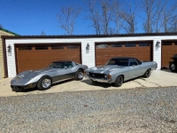 1972 Chevrolet El Camino for sale in Michigan (ID-96340)