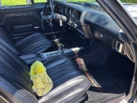 1972 Chevrolet El Camino for sale in Michigan (ID-134459)