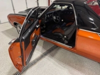 1972 Chevrolet El Camino for sale in Michigan (ID-162501)