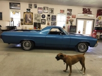 1972 Chevrolet El Camino for sale in Michigan (ID-163497)