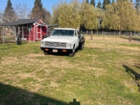 1972 Chevrolet Flatbed for sale in Michigan (ID-155695)