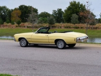 1972 Chevrolet Malibu for sale in Riverhead, New York (ID-123962)