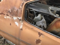 1972 Chevrolet Malibu for sale in Midlothian, Texas (ID-125938)