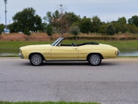 1972 Chevrolet Malibu for sale (ID-124735)